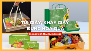 túi giấy, khay giấy đựng hoa quả nhiều màu sắc mẫu mã