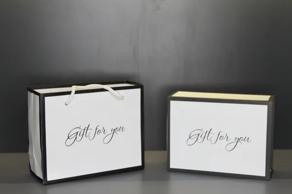 Mẫu túi giấy 2