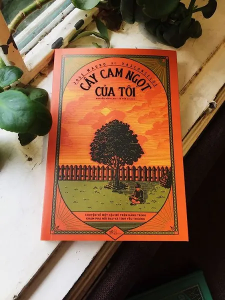 Sách bìa mềm