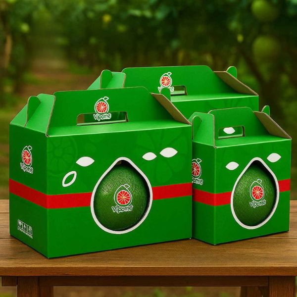 Hộp carton sóng đựng bưởi