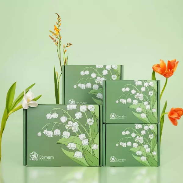 Hộp giấy bồi carton